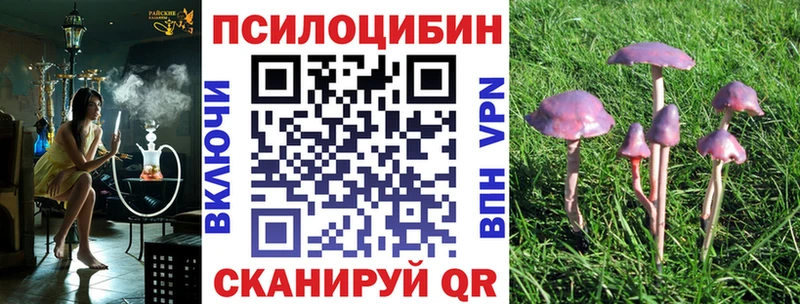 Псилоцибиновые грибы Cubensis Светлоград