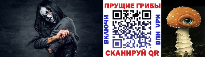Галлюциногенные грибы ЛСД  Купить закладки  Светлоград 